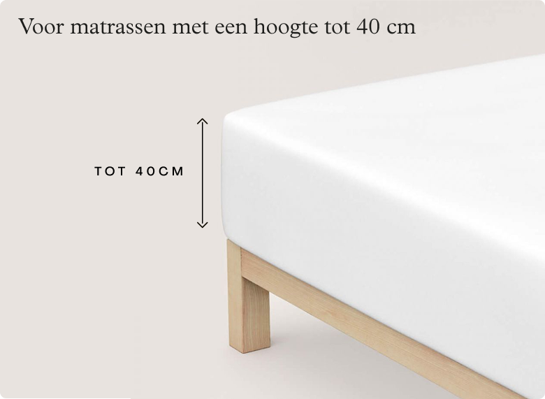 Premium Spannbettlaken